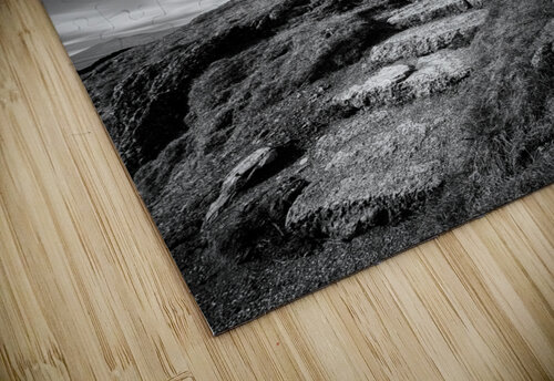 Path to Twr Mawr Lighthouse Dave Bowman puzzle