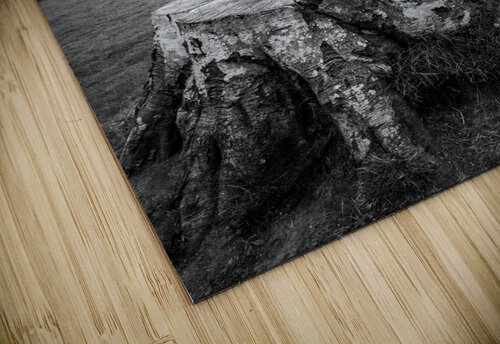 Castle Fraser Dave Bowman puzzle