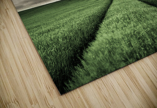 Field Tracks Dave Bowman puzzle