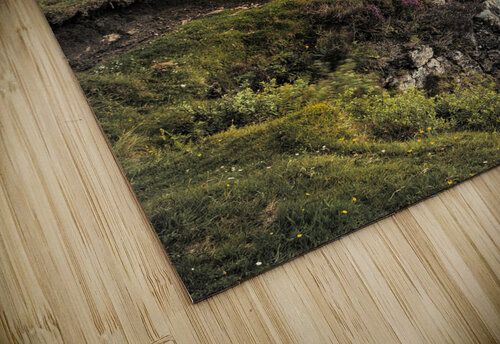 Quiraing View Dave Bowman puzzle