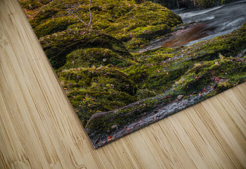 Gannochy Bridge in Autumn Dave Bowman puzzle