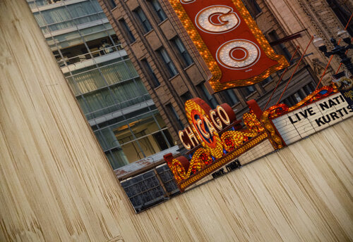 The Chicago Theatre Dave Bowman puzzle