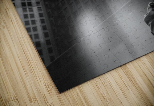 Chicago Mannequin Dave Bowman puzzle