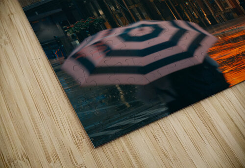 Chicago Rain Dave Bowman puzzle