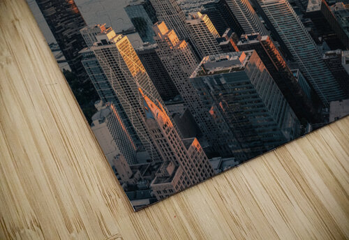 Chicago Lakefront Dave Bowman puzzle