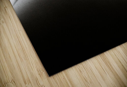 Nude Study No2 Dave Bowman puzzle