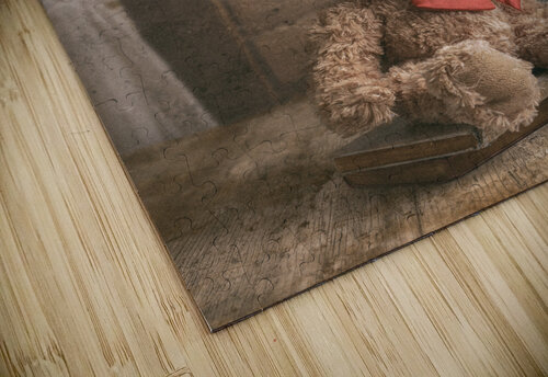 Bear and Books Dave Bowman puzzle