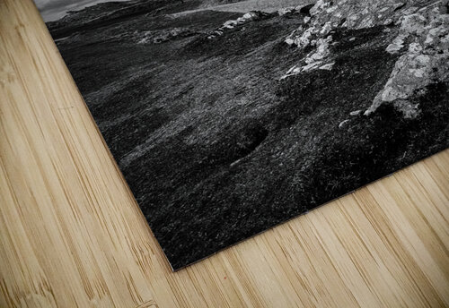 Llanddwyn Island Dave Bowman puzzle