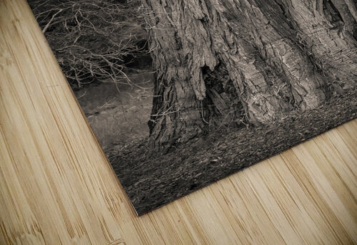 Incense Cedar Dave Bowman puzzle