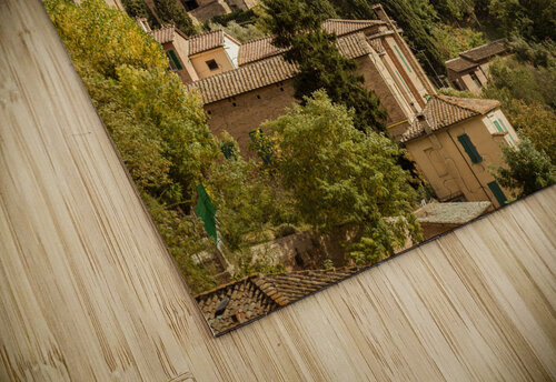 Siena Dave Bowman puzzle