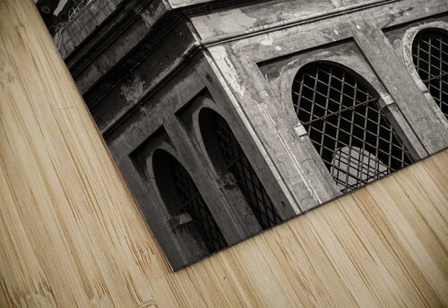 Farnese Aviary Dave Bowman puzzle