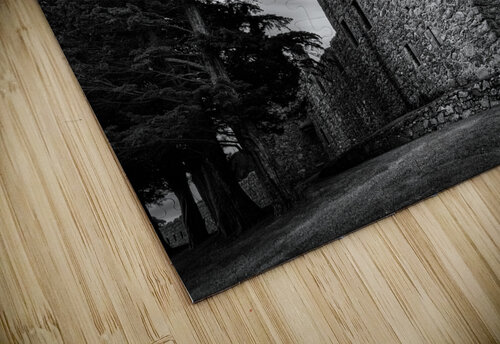 Tolquhon Castle Dave Bowman puzzle