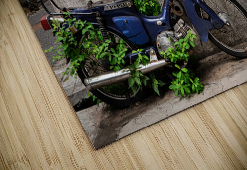 Fast Food Delivery in Ipoh Dave Bowman puzzle