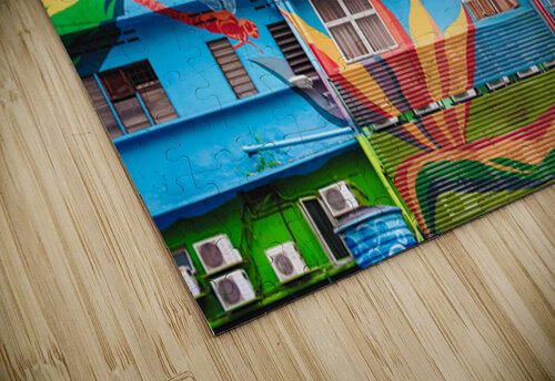 Urban Dragonflies Dave Bowman puzzle