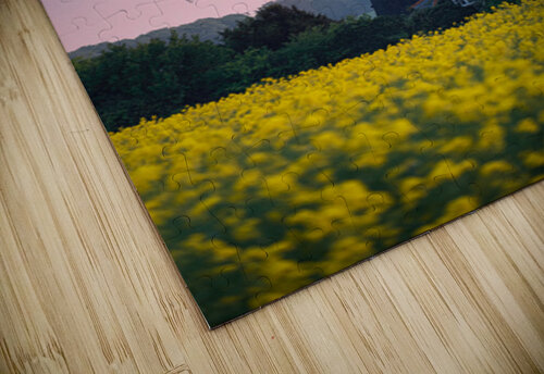 Burnham Overy Staithe Windmill Dave Bowman puzzle