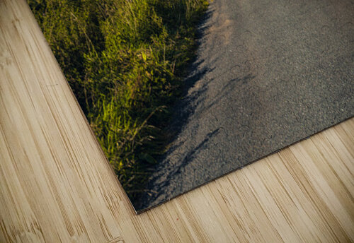 Road Through the Dales Dave Bowman puzzle