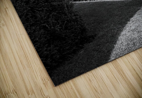 Blickling Estate Gardens Dave Bowman puzzle