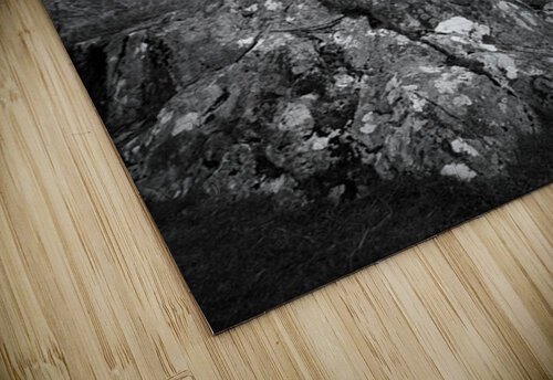 Kilchurn Castle Walls Dave Bowman puzzle