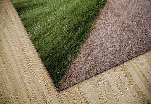 Path to Craigievar Castle Dave Bowman puzzle