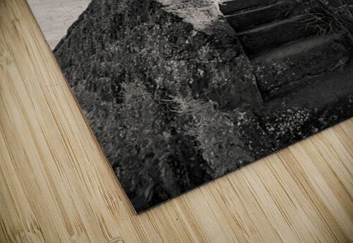 Steps to Scurdie Ness Dave Bowman puzzle