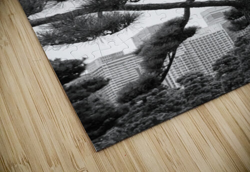 Kokyo Gaien Branches Dave Bowman puzzle