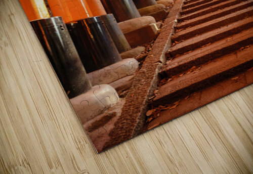 Torii Ascent at Fushimi Inari Dave Bowman puzzle