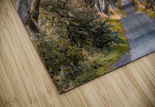 The Dark Hedges Dave Bowman puzzle