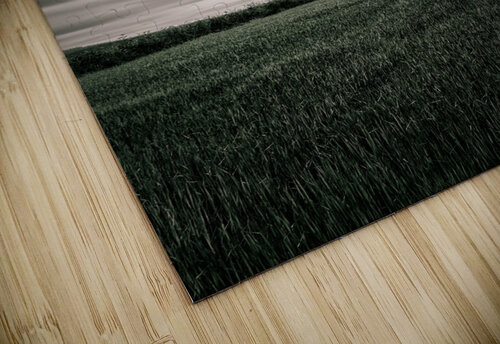 Crawton Copse Dave Bowman puzzle