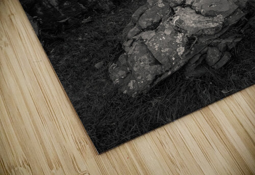 Path to Rua Reidh Lighthouse Dave Bowman puzzle