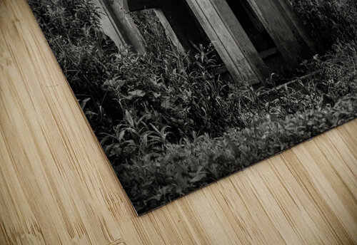 Vietnamese Shrine Dave Bowman puzzle