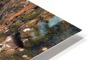 Fairy Glen HD Metal print