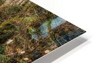 Woodland Waterfall HD Metal print