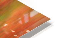 Autumn Mirage HD Metal print