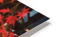Japanese Red Maple Impression metal HD