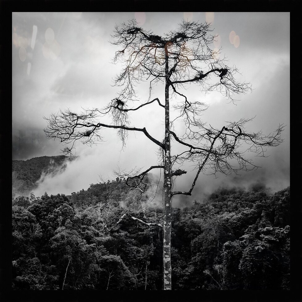 Impression de cadre personnalisé