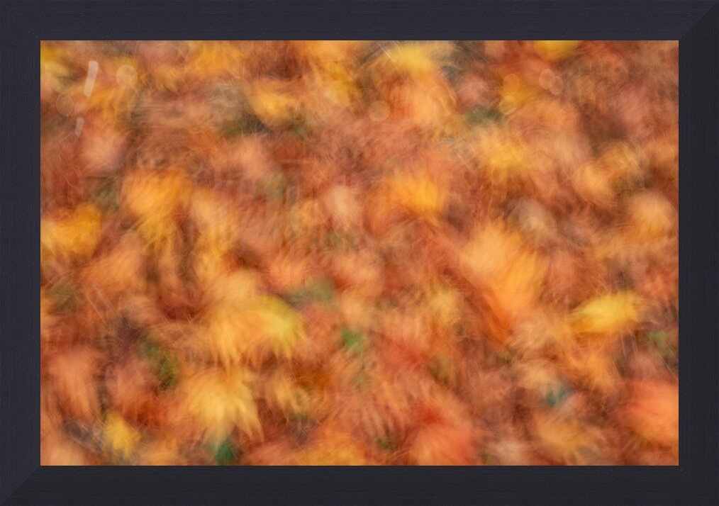 Impression de cadre personnalisé