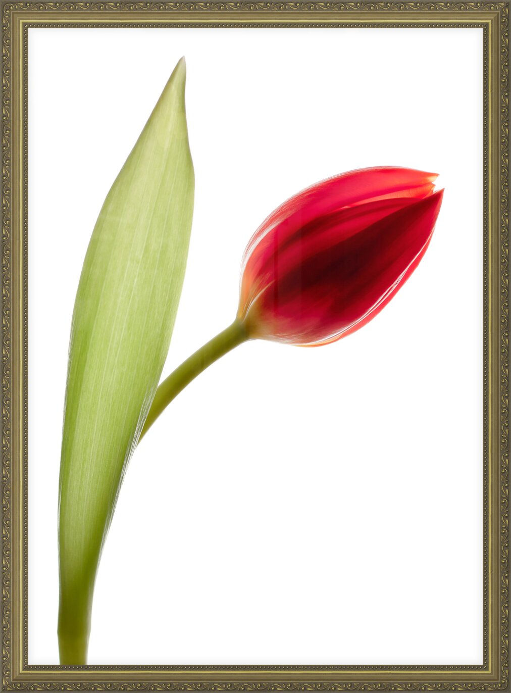 Impression de cadre personnalisé