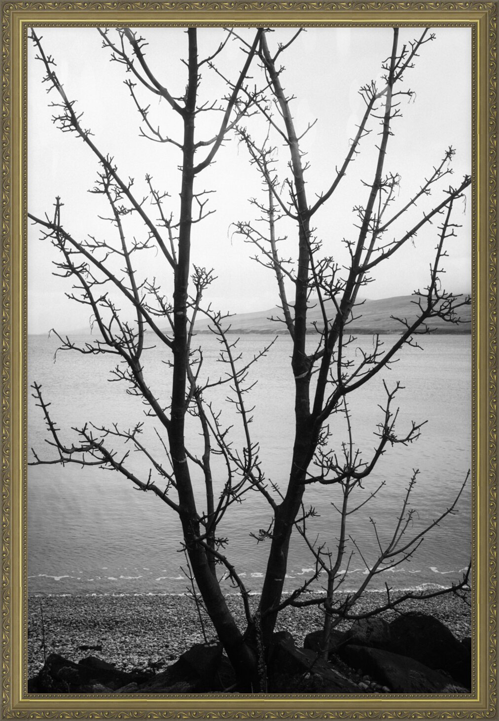 Impression de cadre personnalisé