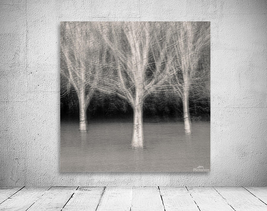 Three Trees Wall Preview