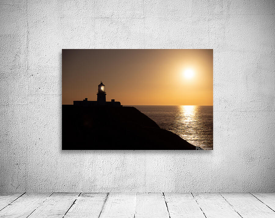 Strumble Head Silhouette Wall Preview