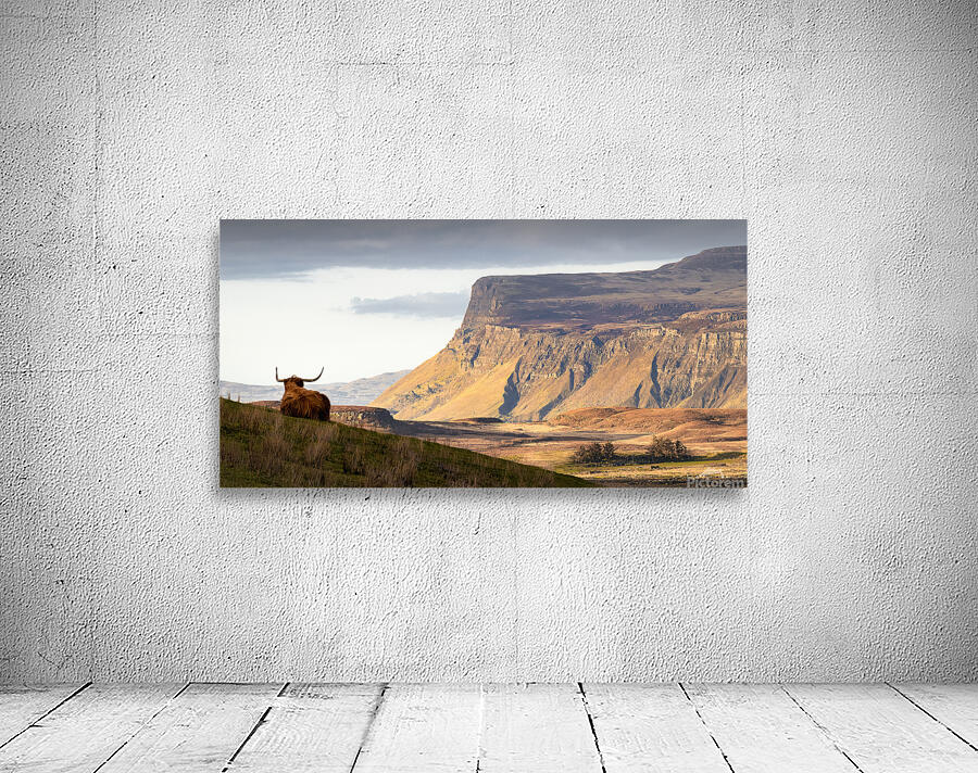 Highland Coo with a View Wall Preview