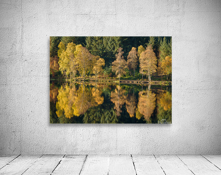 Autumn on Glencoe Lochan Wall Preview