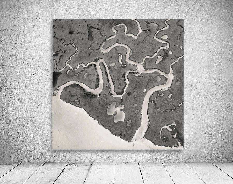 Salt Marsh Channels Wall Preview