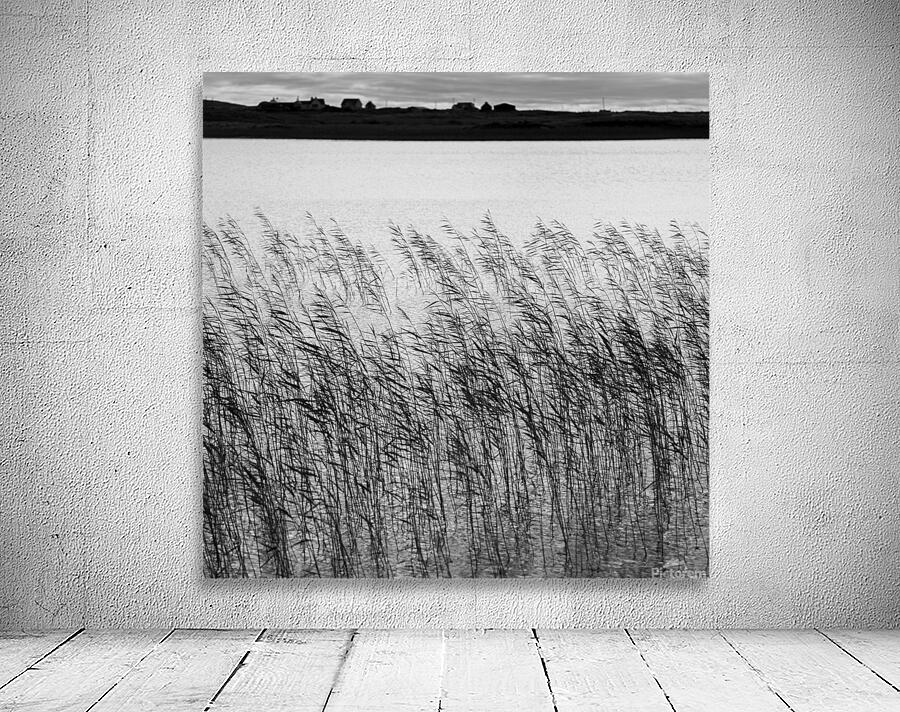 Uist Reeds Wall Preview