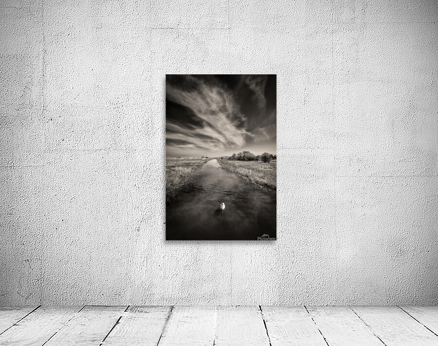 White Swan Wall Preview