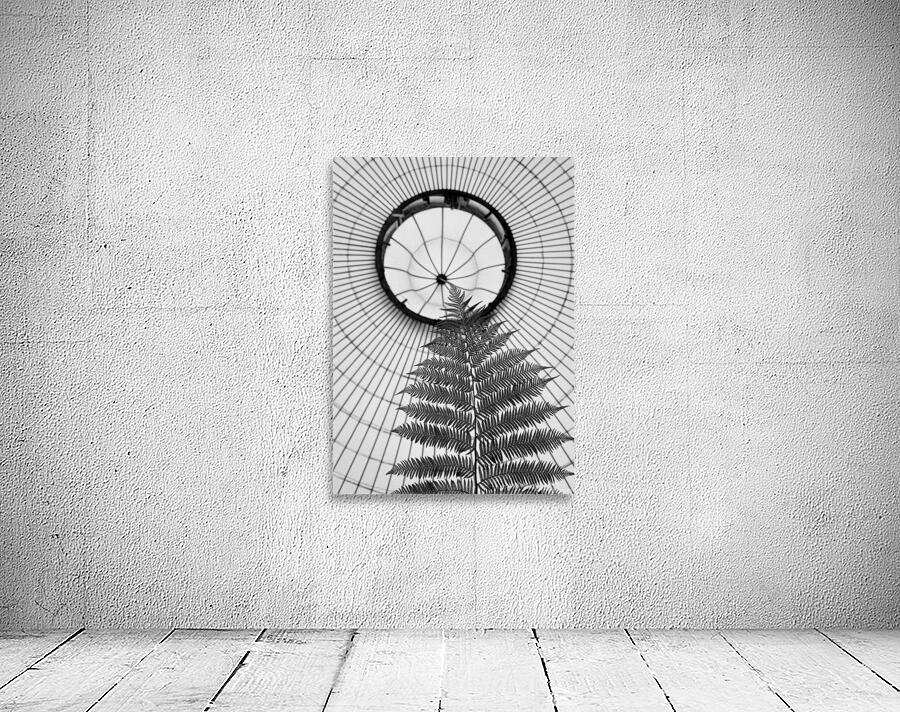 Fern and Dome Wall Preview