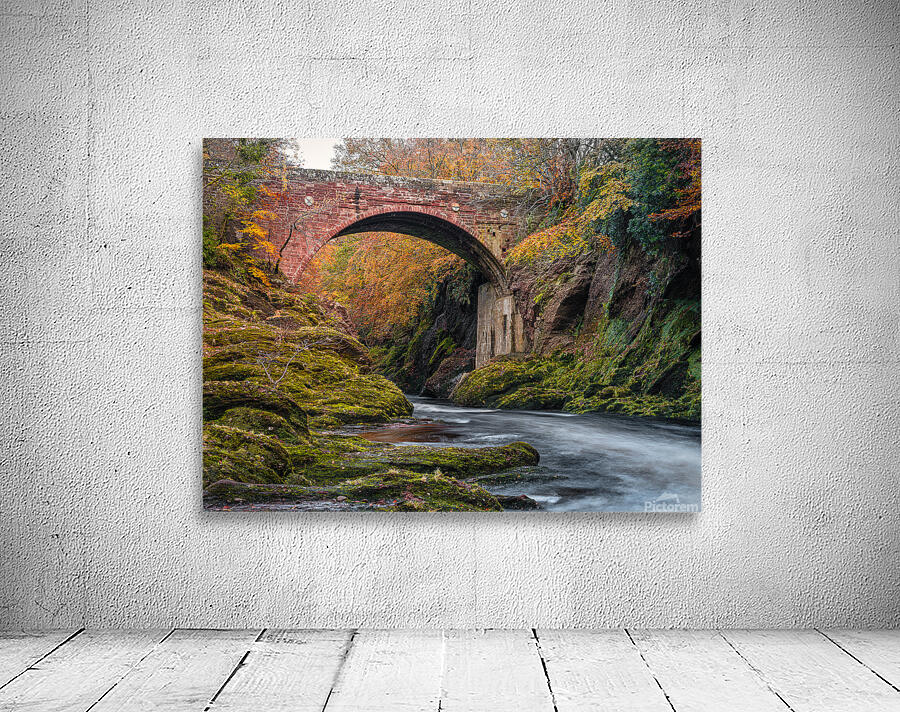 Gannochy Bridge in Autumn Wall Preview