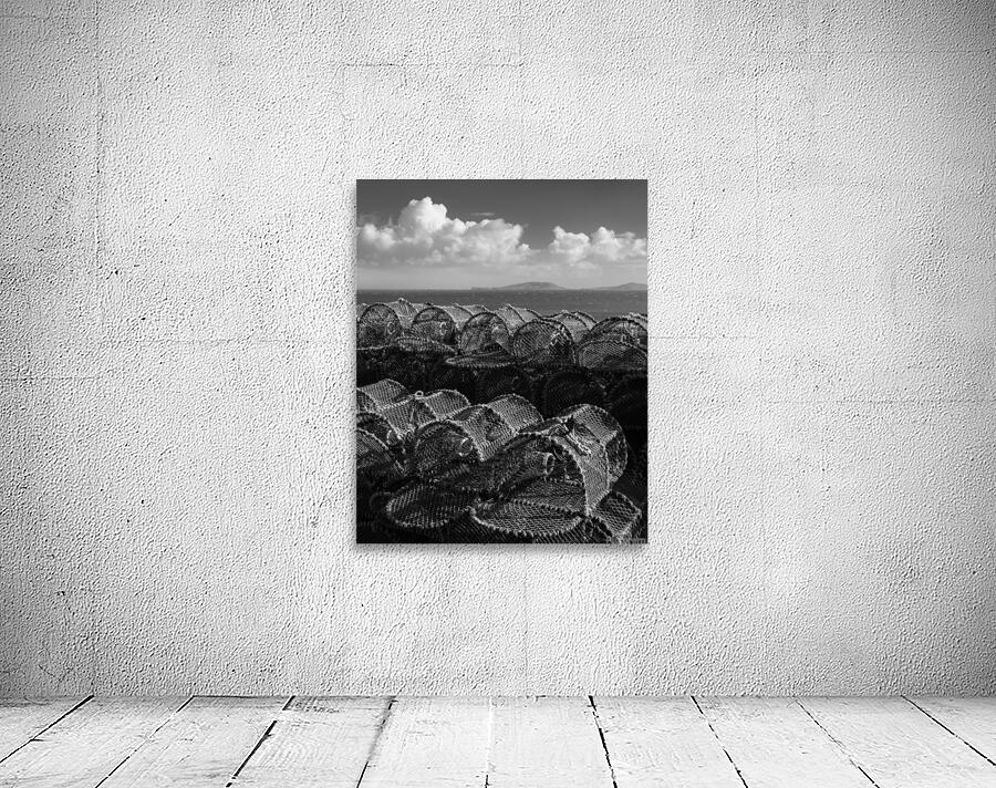 Barra Creel Nets Wall Preview