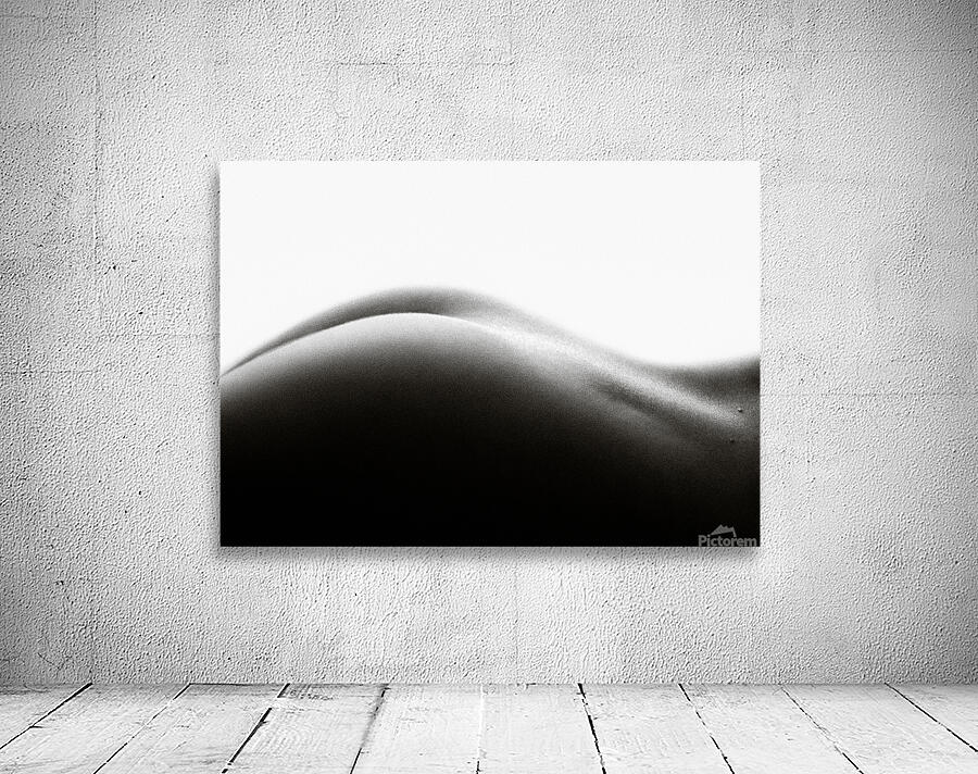 Nude Study No2 Wall Preview
