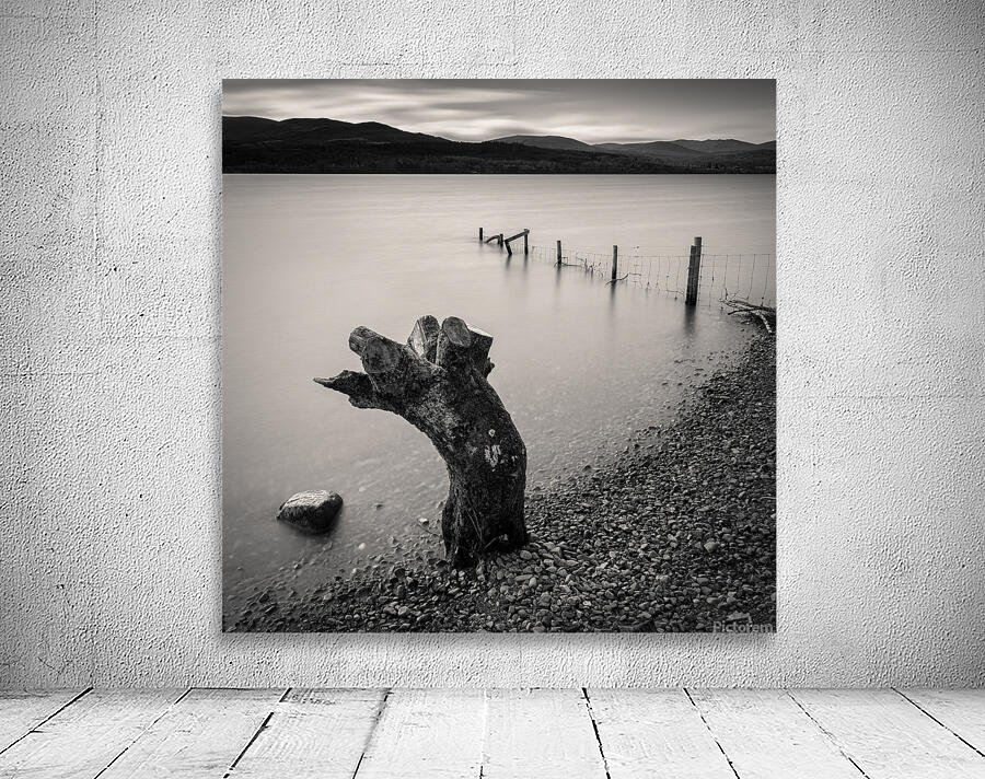 Limbless on Loch Rannoch Wall Preview